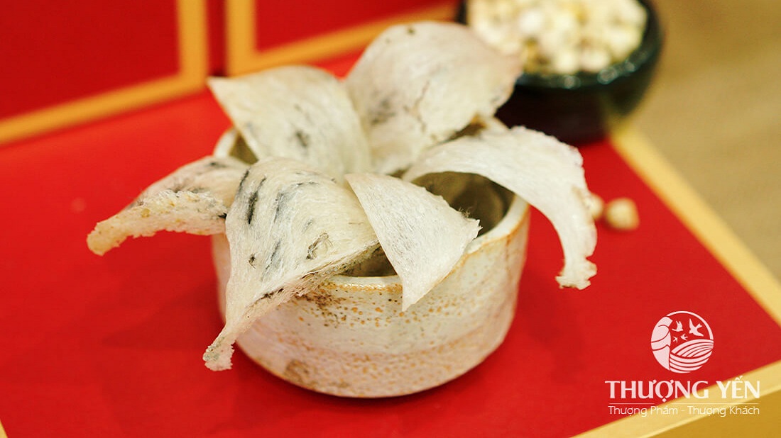 CÔNG TY TNHH YẾN SÀO