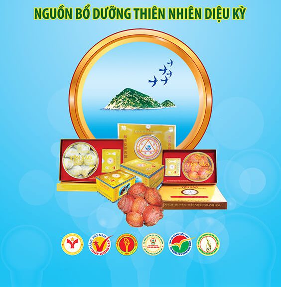 Yến sào đảo thiên nhiên Khánh Hòa nhiều lợi ích cho sức khoẻ và sắc đẹp