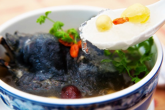 Yến hầm bồ câu hoặc gà ác