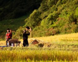 Những điểm tuyệt vời để chụp ảnh trong mùa thu miền bắc