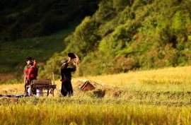 Những điểm tuyệt vời để chụp ảnh trong mùa thu miền bắc