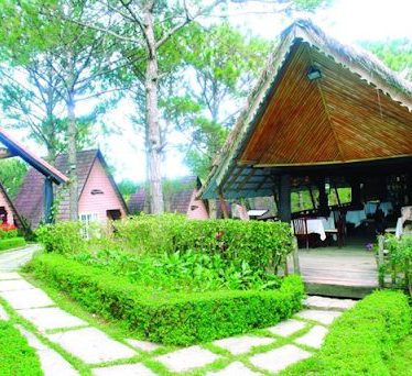 Đi không muốn về với top những khách sạn Đà Lạt giá rẻ