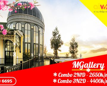 Combo du lịch Tết dương lịch 2021 cảm nhận vẻ đẹp của Sapa