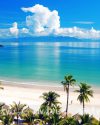 Vé máy bay đi Đà Nẵng giá rẻ Vietnam Airlines, Vietjet, Bamboo