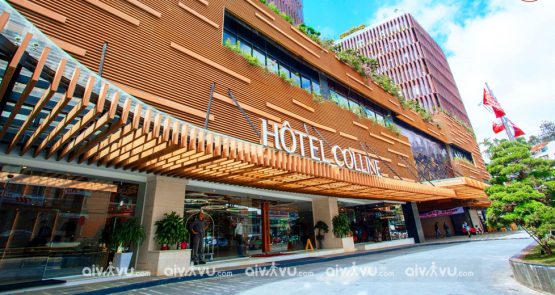 Combo nghỉ dưỡng Hôtel Colline Đà Lạt chỉ từ 2.350.000 VND