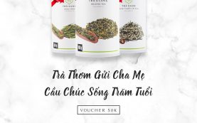 VU LAN BÁO HIẾU SHAN TUYẾT CHO MẸ – LONG TỈNH CHO CHA