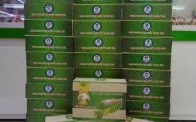 Trà Xanh Long Vân Đặc Biệt Cao Cấp Hộp 200gr