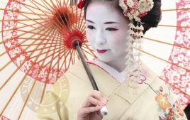 Du lịch Nhật Bản mùa hoa Anh đào năm 2016