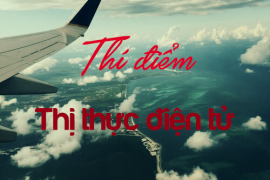 Việt Nam sẽ thực hiện thị thực điện tử từ 01/02/2017