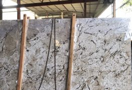Đá Granite Aries White-Phân Phối Sỉ và Lẻ Đá Granite Nhập Khẩu Toàn Quốc