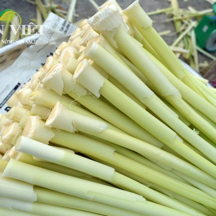 Bồn Bồn đặc sản ngon tuyệt
