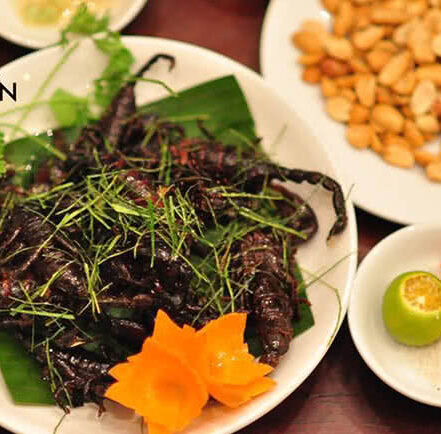 Quán Kiến Tuệ Tĩnh – Nhậu “Độc” Với Côn Trùng