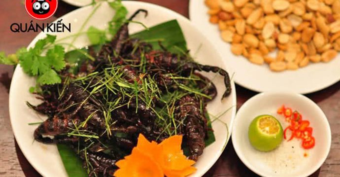 Quán Kiến Tuệ Tĩnh – Nhậu “Độc” Với Côn Trùng