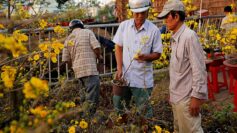 Chủ bán hoa Tết Bến Bình Đông: Giảm giá giảm hết cỡ để khỏi ôm hàng ngày 30 Tết