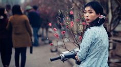 Chơi tranh, chơi hoa ngày xuân
