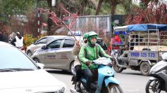Hoa tết xuyên mưa phùn gió lạnh, theo bạn trẻ Hà Nội về nhà