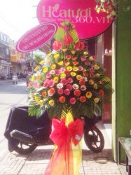 Hoa khai trương 46 _Hoa tươi
