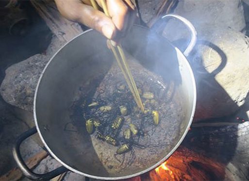 Nhện rừng “siêu to khổng lồ”, nhìn thấy đã sợ nhưng lại chính là đặc sản hiếm có khó tìm ở Bình Thuận
