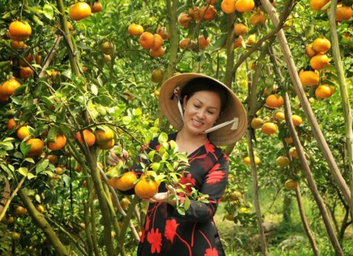 5 đặc sản miền Tây cứ Tết đến lại được chị em săn đón nhiệt tình
