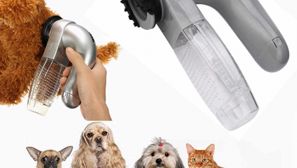 Địa chỉ lấy sỉ phụ kiện chó mèo giá rẻ