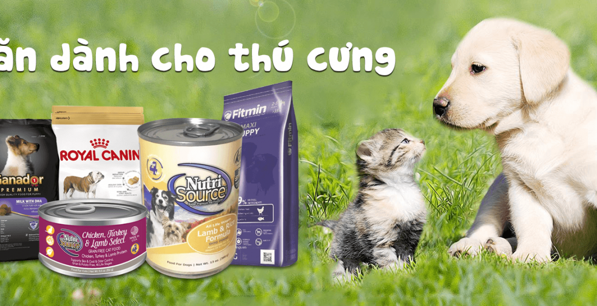 Ba điểm đến du lịch đẹp nhất trong tháng 11