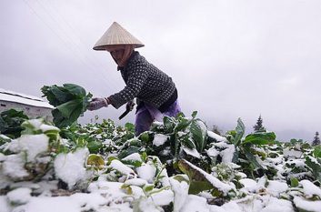 Dự báo thời tiết hôm nay ngày 7/12/2020: Bắc Bộ và Bắc Trung Bộ trời rét, vùng núi rét đậm rét hại