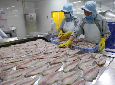 Nói ‘không’ với hải sản bất hợp pháp
