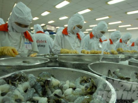 Dự báo xuất khẩu tôm sang Hà Lan tiếp tục tăng vào cuối năm