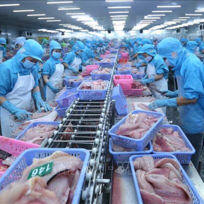 Tháng 10/2020: Nhập khẩu tôm chân trắng của Hàn Quốc tăng