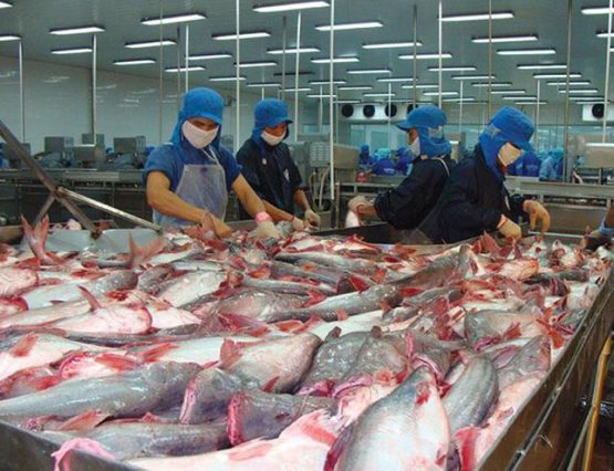 Ngành tôm Ecuador lo lắng về quyết định tăng hạn ngạch nhập khẩu của EC