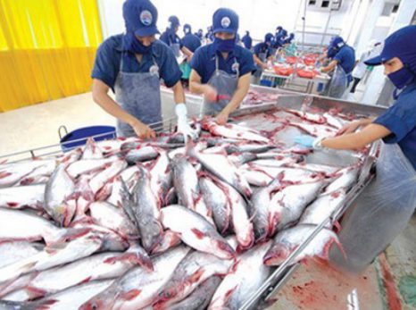 Gỡ ‘thẻ vàng’ thủy sản: Đúng hướng nhưng nhiều địa phương chậm trễ