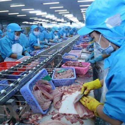 Sản lượng khai thác tôm hồng tại vùng ven biển bang Oregon của Mỹ tăng