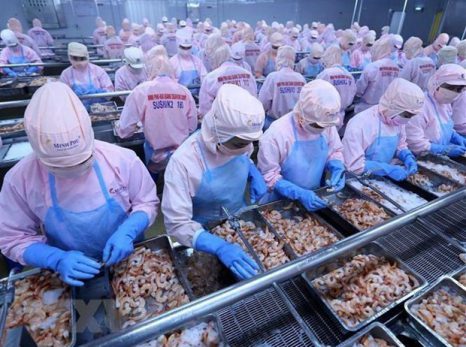 Thông cáo báo chí: Doanh nghiệp Hải sản Việt Nam cam kết tiếp tục chống khai thác IUU