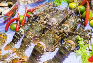 Bà Rịa-Vũng Tàu: Thực hiện IUU có nhiều chuyển biến tích cực