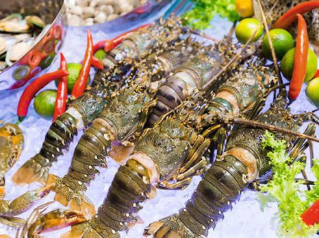 Bà Rịa-Vũng Tàu: Thực hiện IUU có nhiều chuyển biến tích cực