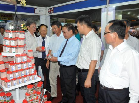 Đánh bắt mực không kiểm soát tại Ấn Độ Dương đe doạ nguồn lợi cá ngừ