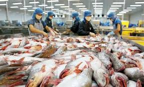 Các nước Nam Mỹ thoả thuận về chống khai thác