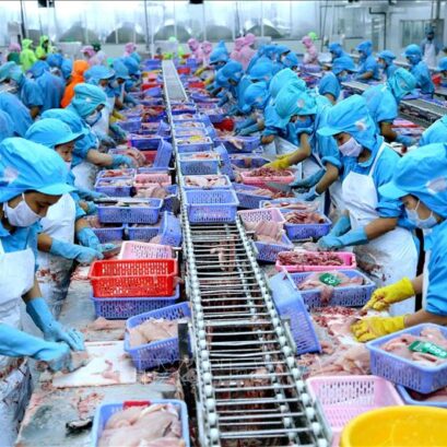 Ecuador: Giá tôm dự kiến tiếp tục giảm