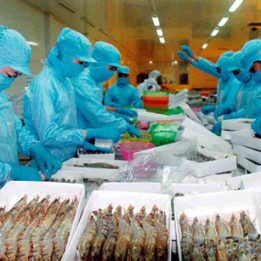 Tháng 10/2020: Xuất khẩu tôm Việt Nam khởi sắc ở Mỹ và EU