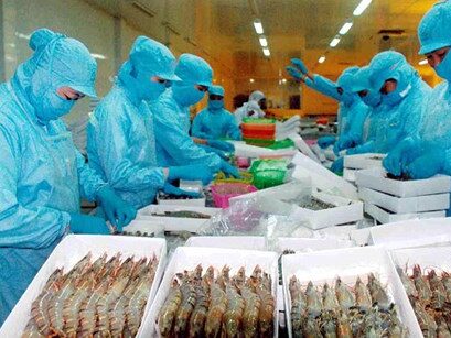 Tháng 10/2020: Xuất khẩu tôm Việt Nam khởi sắc ở Mỹ và EU