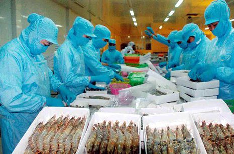 Tháng 10/2020: Xuất khẩu tôm Việt Nam khởi sắc ở Mỹ và EU