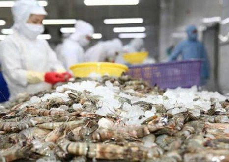 Doanh nghiệp nên làm gì thời Covid-19 và thời 4.0?