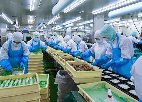 Đẩy nhanh tiến độ lắp đặt thiết bị giám sát hành trình tàu cá