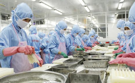Chưa gỡ được thẻ vàng của châu Âu trong khai thác thủy sản, khó tận dụng triệt để hiệp định EVFTA