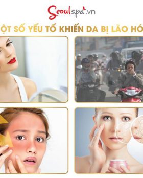 Trị mụn huyết thanh tảo biển