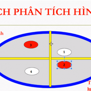 Phương pháp bắt cầu xóc đĩa theo phân chia khu vực hình vị