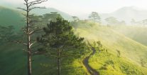 Tà Năng Phan Dũng – cung trekking đẹp nhất Việt Nam