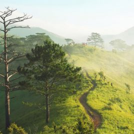 Tà Năng Phan Dũng – cung trekking đẹp nhất Việt Nam
