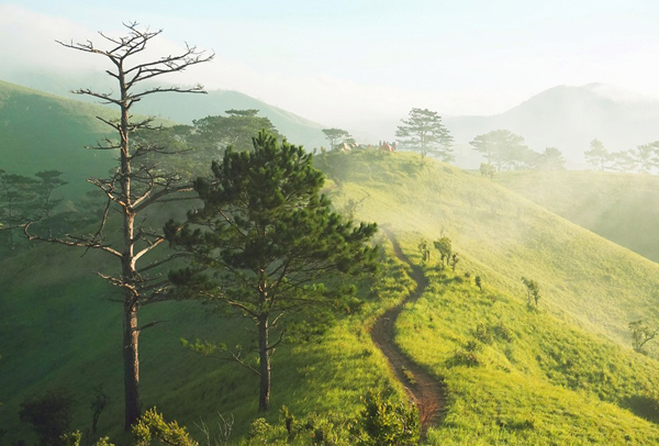 Tà Năng Phan Dũng – cung trekking đẹp nhất Việt Nam