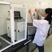 Các hoạt động trong quá trình thực hiện dự án
